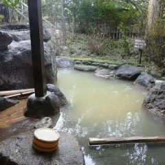 Отель Ryokan Kono-Yu Стандартный номер фото 4