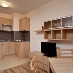 Отель Borovets Gardens Aparthotel 3* Студия фото 14