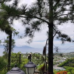Отель Chalet de tahiti балкон