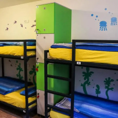Хостел Varad INN Hostel and Cafe Кровать в общем номере фото 11