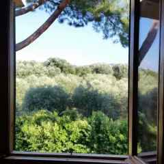 Hotel Villa Maria Luigia 2* Стандартный номер с различными типами кроватей фото 10