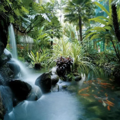 Shangri La Hotel Singapore 5* Люкс фото 4