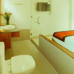 Отель Riverside Plum Garden Homestay 2* Номер Делюкс с двуспальной кроватью фото 4