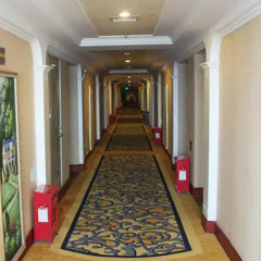Vienna Hotel Shenzhen Songgang Liye Road интерьер отеля фото 3