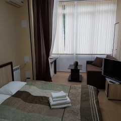 Апартаменты Apartment Svetlana Kurortnyi Сочи комната для гостей фото 3