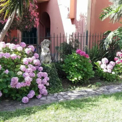 Отель Casa Tra Il Verde E Il Blu Генуя фото 3