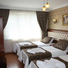 Big Apple Hostel & Hotel Номер Делюкс с различными типами кроватей фото 5