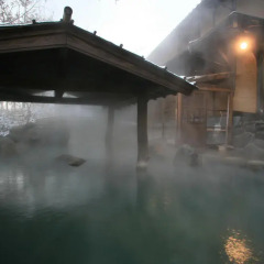 Отель Ryokan Kono-Yu Минамиогуни фото 4