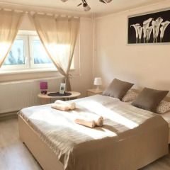 Отель Hevizquelle 1 Apartmenthaus Хевиз комната для гостей фото 2