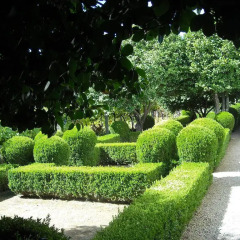 Отель Quinta das Aranhas Кастело-де-Пайва фото 4