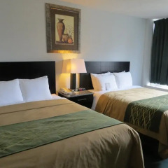 Отель Comfort Inn & Suites Downtown Edmonton 2* Стандартный номер с различными типами кроватей