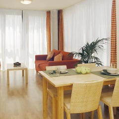 Отель Aparthotel Nou Vielha Апартаменты с разными типами кроватей фото 3