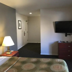 Отель Buena Vista Motor Inn 2* Стандартный номер с различными типами кроватей фото 7