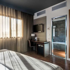 Отель Sercotel Asta Regia Jerez Испания, Херес-де-ла-Фронтера - 2 отзыва об отеле, цены и фото номеров - забронировать отель Sercotel Asta Regia Jerez онлайн удобства в номере фото 2