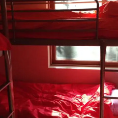 Отель Pinetree Guesthouse Сеул удобства в номере фото 2