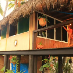 Отель Bungalows Tree Tops Мексика, Коакоюл - отзывы, цены и фото номеров - забронировать отель Bungalows Tree Tops онлайн развлечения