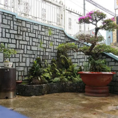 Отель Cam Ly Homestay Далат фото 2