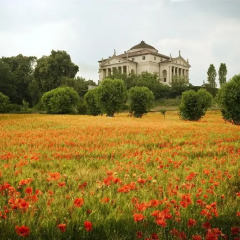 Отель Bed and Breakfast La Quiete Италия, Лимена - отзывы, цены и фото номеров - забронировать отель Bed and Breakfast La Quiete онлайн фото 5