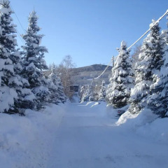 Отель Cottage Guest House спортивное сооружение