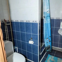 Гостиница Охотничья Усадьба Стандартный номер с разными типами кроватей фото 12