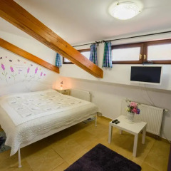 Отель Penzion U ZÁmku 3* Студия фото 7