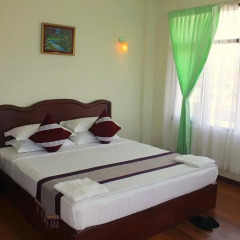 Golden Dream Hotel 3* Номер Делюкс с различными типами кроватей фото 2