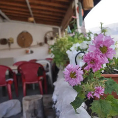 Ozlem Pension and Restaurant Турция, Мустафапаша - отзывы, цены и фото номеров - забронировать отель Ozlem Pension and Restaurant онлайн питание фото 2