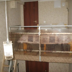 Hostel Tverskaya 5 Студия с разными типами кроватей фото 5