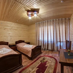 Гостиница Villa Vlad сауна