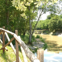 Отель B&B Chiusa dei Monaci Ареццо приотельная территория