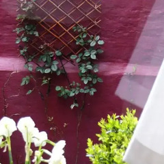 Отель B&B Double Door Брюгге фото 3