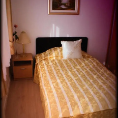 Hotel Vila Tina 3* Стандартный номер с различными типами кроватей фото 5