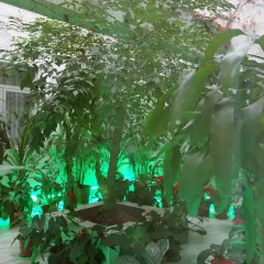 Macau Masters Hotel фото 2