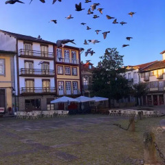 Santiago 31 Hostel фото 8