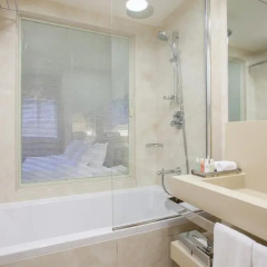 Гостиница Crowne Plaza St.Petersburg-Ligovsky (Краун Плаза Санкт-Петербург Лиговский) 4* Стандартный номер с различными типами кроватей фото 9