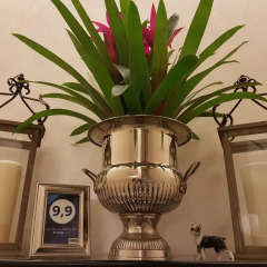 Отель Gentleness Home Италия, Рим - отзывы, цены и фото номеров - забронировать отель Gentleness Home онлайн