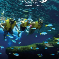 Resorts World Sentosa - Equarius Hotel спортивное сооружение