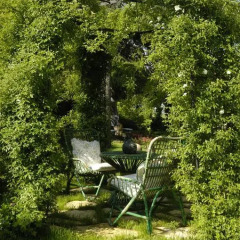 Отель Ca'Bevilacqua Bed&Breakfast Бертиноро фото 15