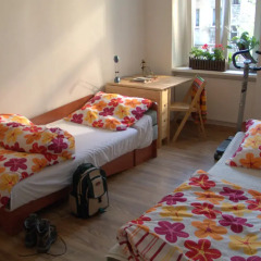 Film Hostel Познань с домашними животными