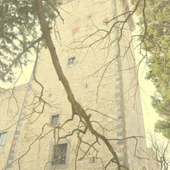 Отель Colonica Torre Del Castellano Реггелло фото 11