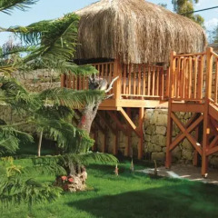 Commodore Elite Suites & Spa Ultra All Inclusive Турция, Сиде - отзывы, цены и фото номеров - забронировать отель Commodore Elite Suites & Spa Ultra All Inclusive онлайн фото 3
