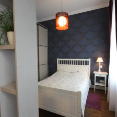Апартаменты Vilnius street apartment Апартаменты с различными типами кроватей фото 10