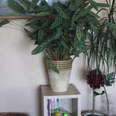 Отель Bultu Apartaments