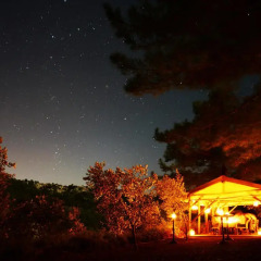 Dionysos Hotel Кумлюбюк фото 4