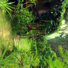 Отель Easylife Bungalow Ланта фото 12