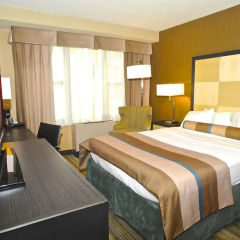 The Watson Hotel Стандартный номер с двуспальной кроватью
