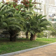 Отель Livingstone Барселона фото 2