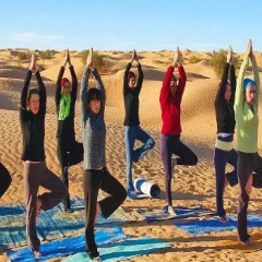 Отель Erg Chebbi Camp Марокко, Мерзуга - отзывы, цены и фото номеров - забронировать отель Erg Chebbi Camp онлайн фитнесс-зал