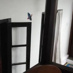 Отель Shoba Travellers Tree Home Stay комната для гостей