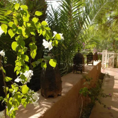 Отель Villa Zagora Ma Villa au Sahara Марокко, Загора - отзывы, цены и фото номеров - забронировать отель Villa Zagora Ma Villa au Sahara онлайн фото 3